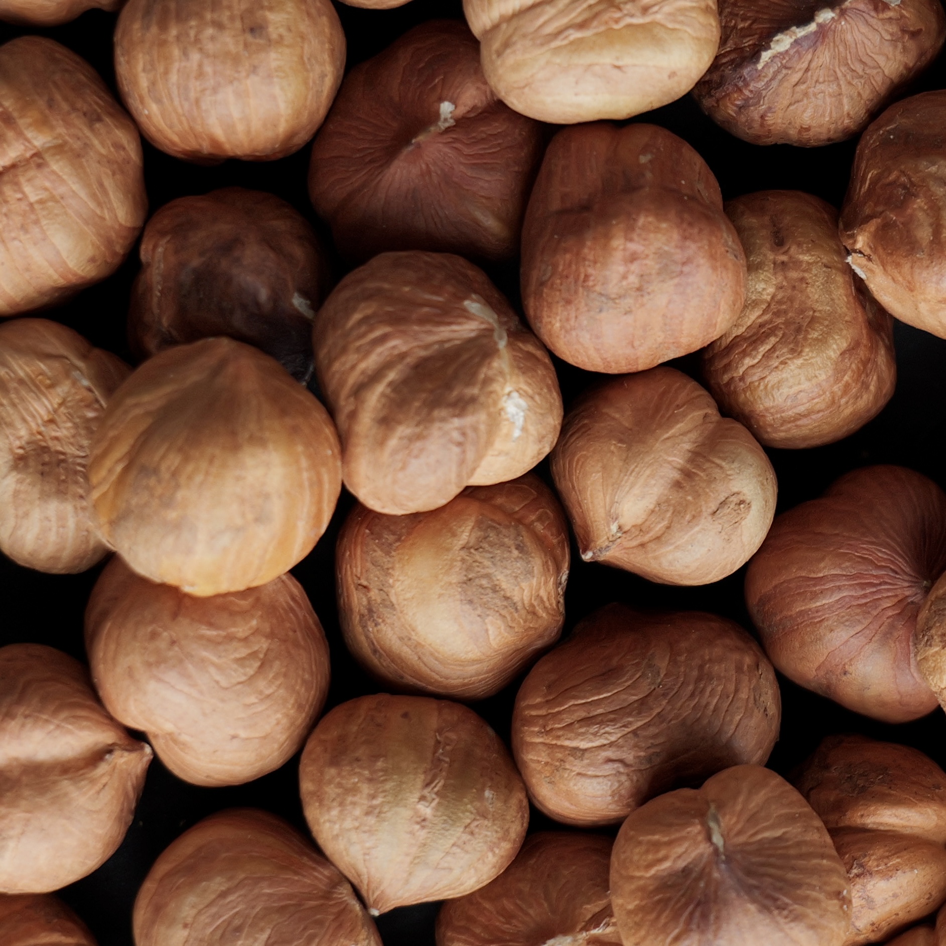 Фундук сырой очищенный